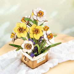 Narcisos - Armable DIY